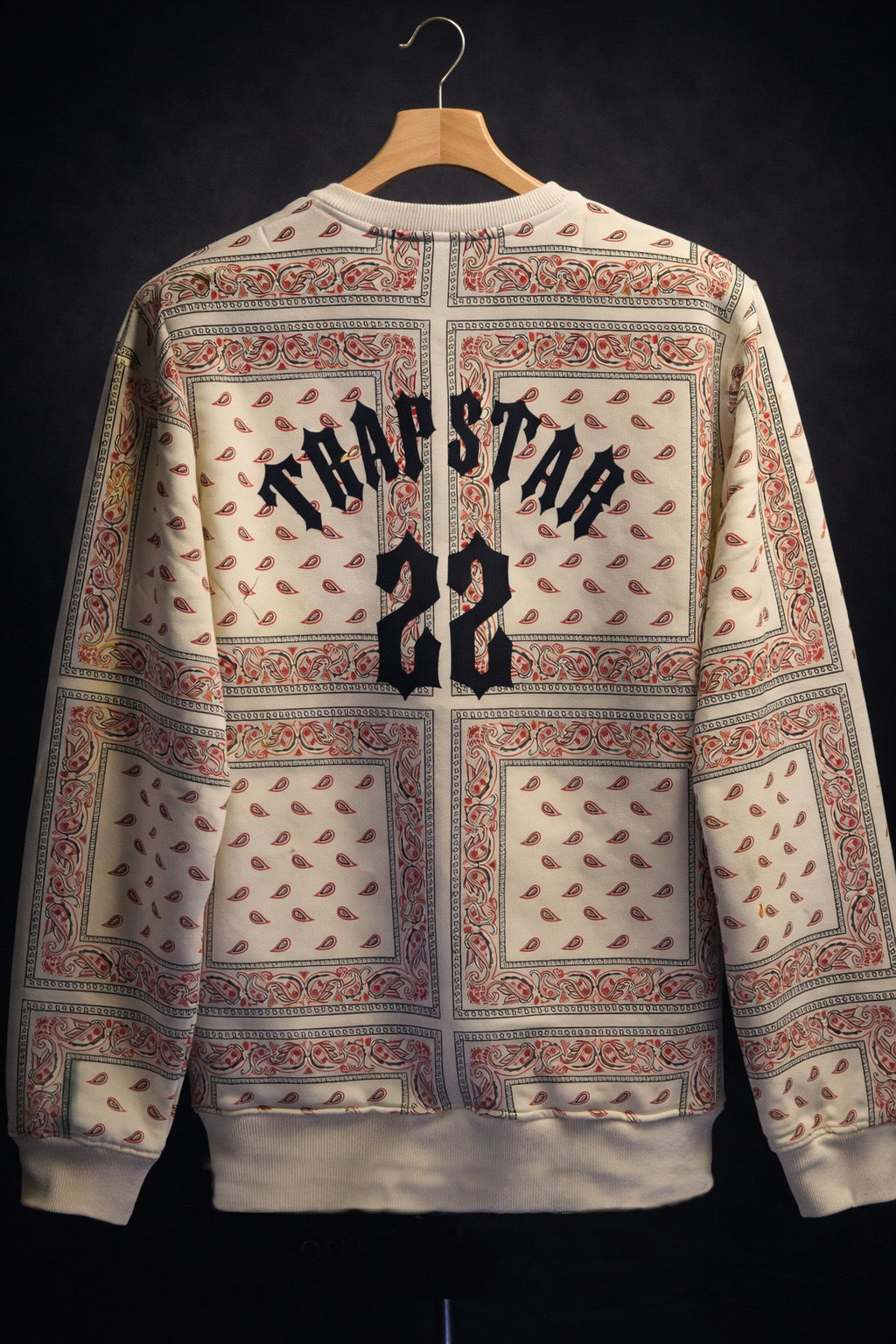 Crewneck Sweatshirt Paisley Print